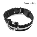 Dog Luminous Collar