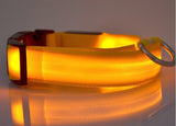Dog Luminous Collar