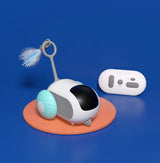 Remote Control Cat Car